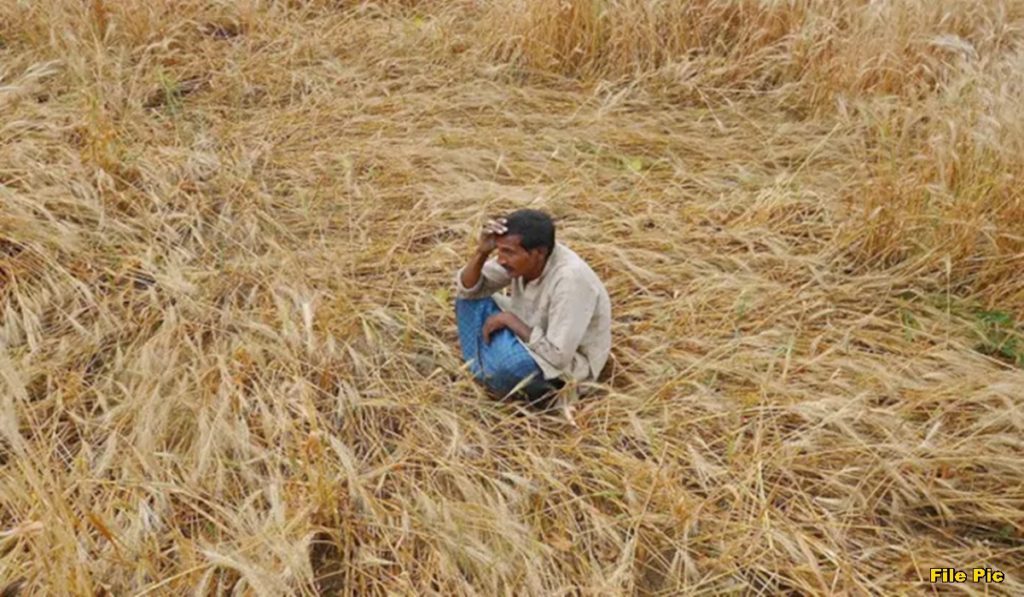 machalpur farmers issues