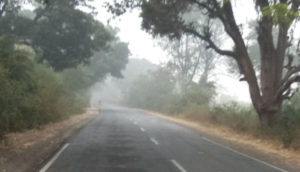 narsinghpur-fog