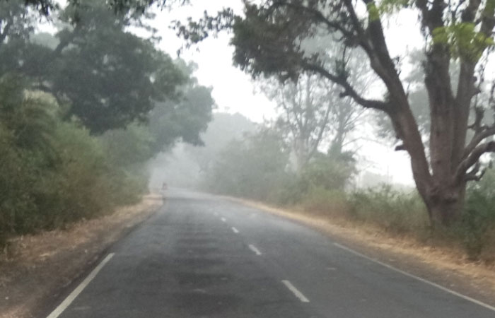 narsinghpur-fog