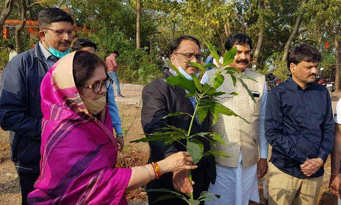 pithampur-plants