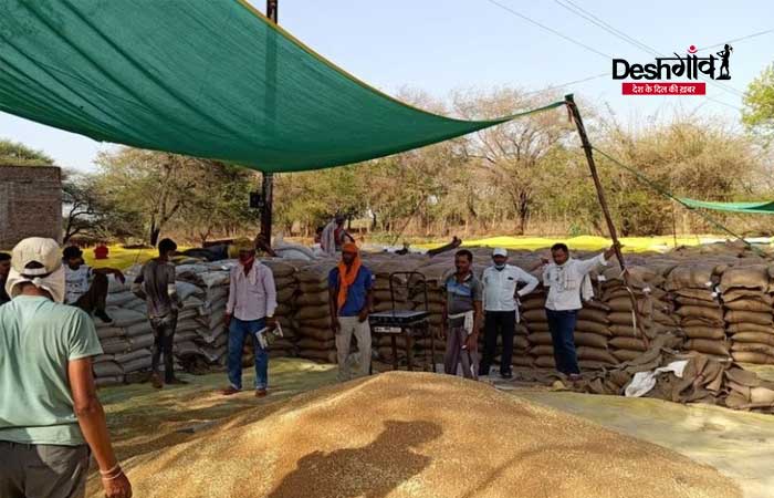 wheat-procurement-dhar