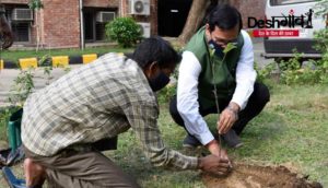 iimc-plantation