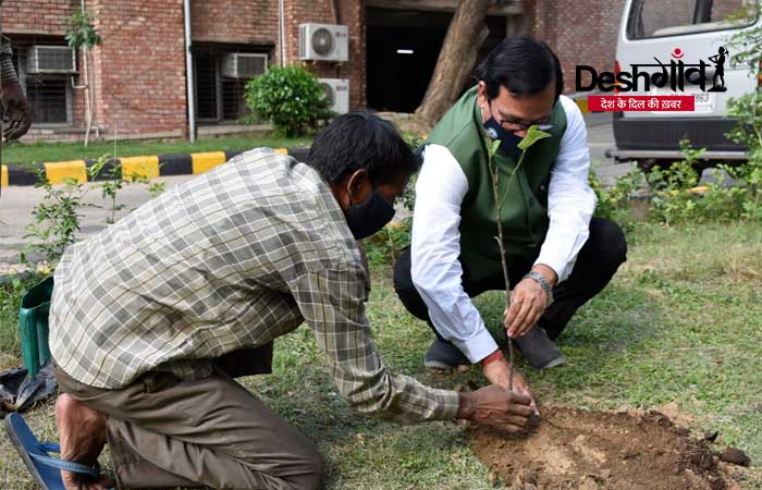 iimc-plantation