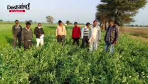 dhar crops agro officer