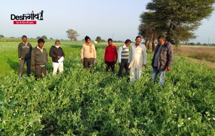 dhar crops agro officer