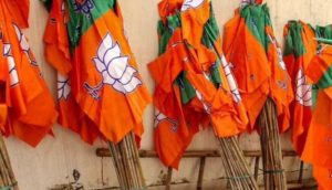 bjp flags up elections