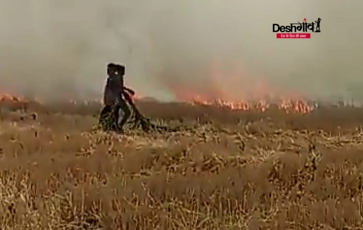 dhar fire in paddy