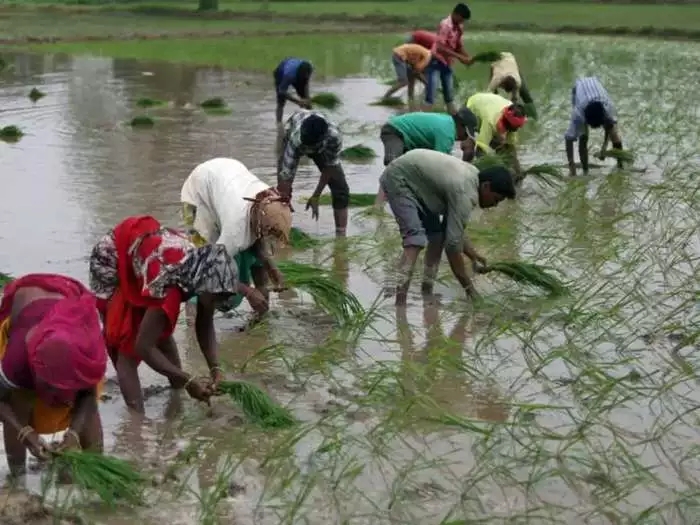 farm laws sc panel committee