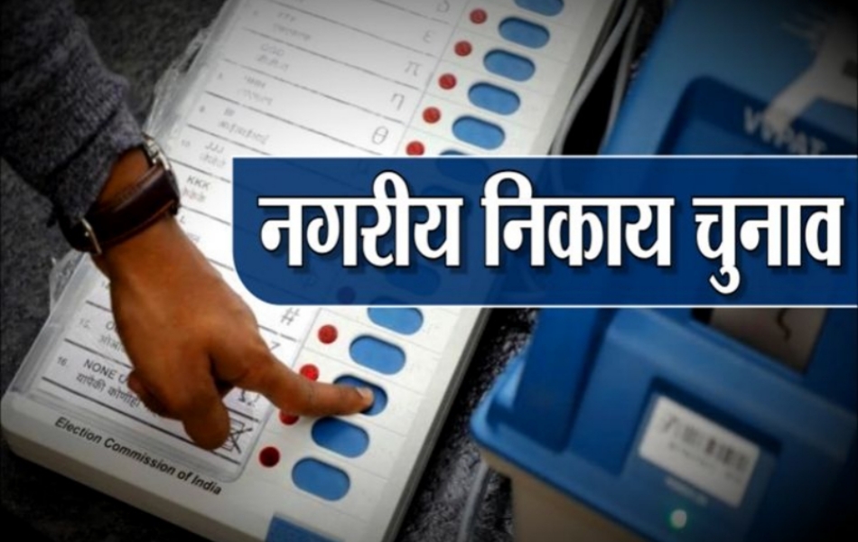 mp local body elections