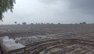 rain water in fields