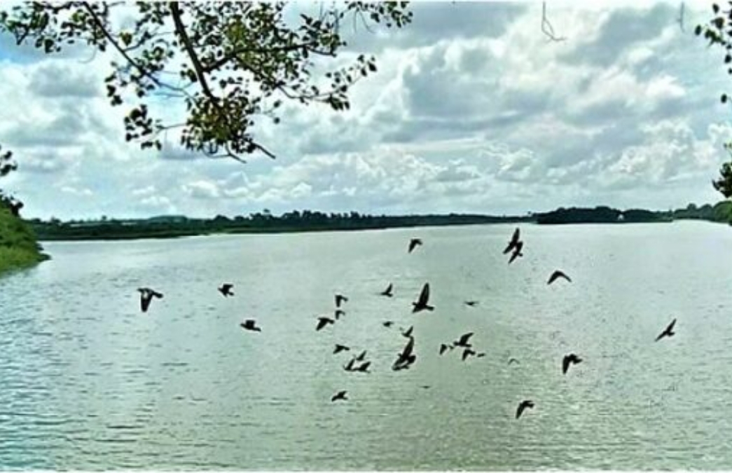 sirpur lake indore