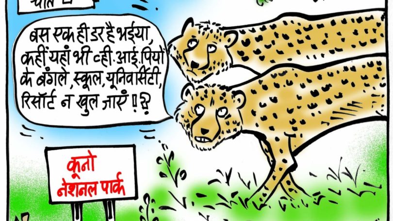 cartoon on kuno cheetah