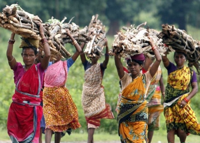 gond tribes
