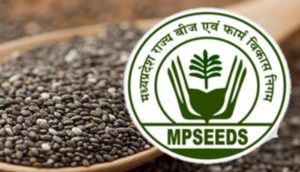 mpseeds indore office closed