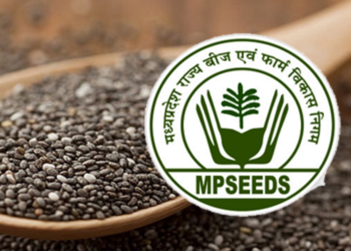 mpseeds indore office closed