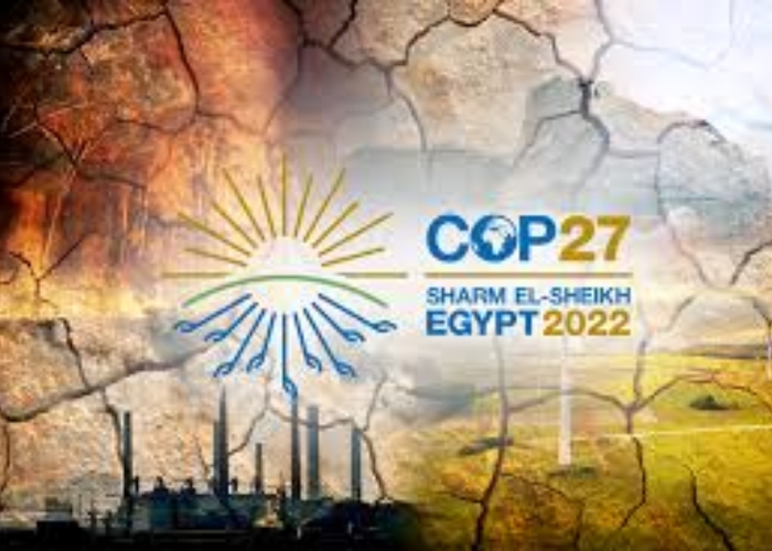 cop 27