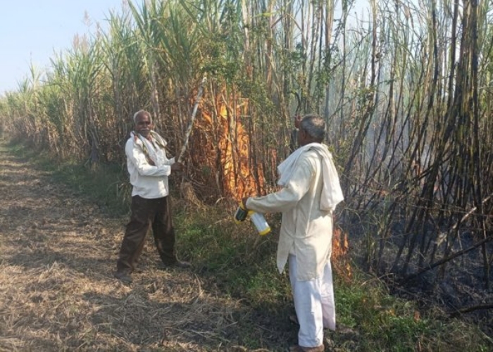 fire in sugarcane crop