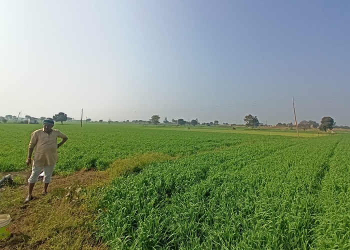 dhar farmers in cold