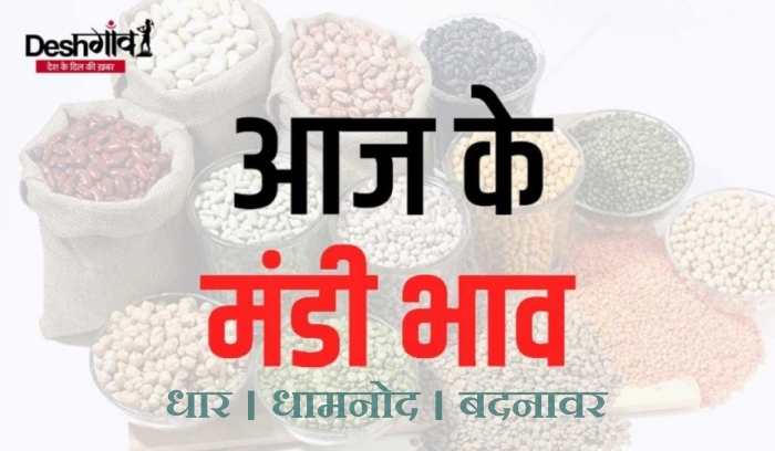 dhar mandi rates