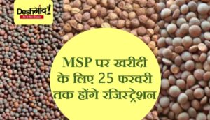 chana-masur-sarso-msp-purchase