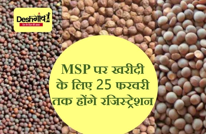 chana-masur-sarso-msp-purchase