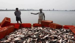 India became the world's third largest producer of fish