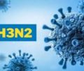 h3n2 virus in mp