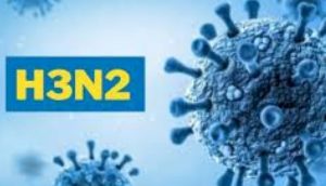 h3n2 virus in mp