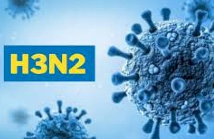 h3n2 virus in mp