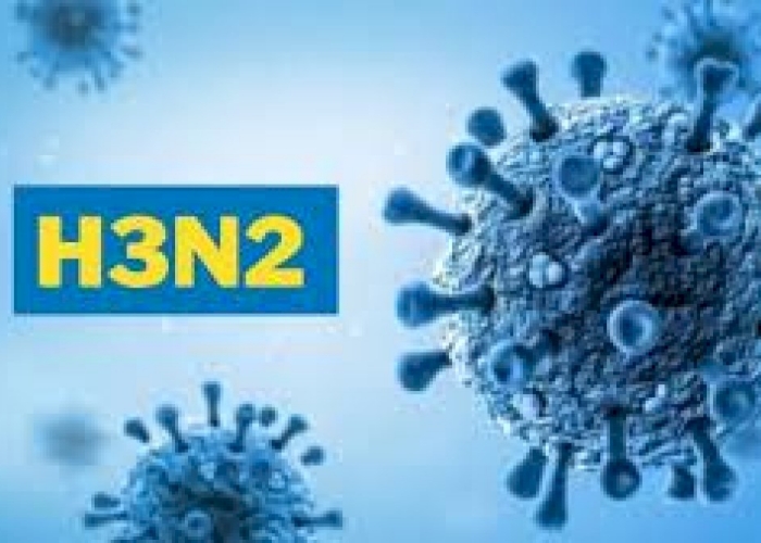 h3n2 virus in mp