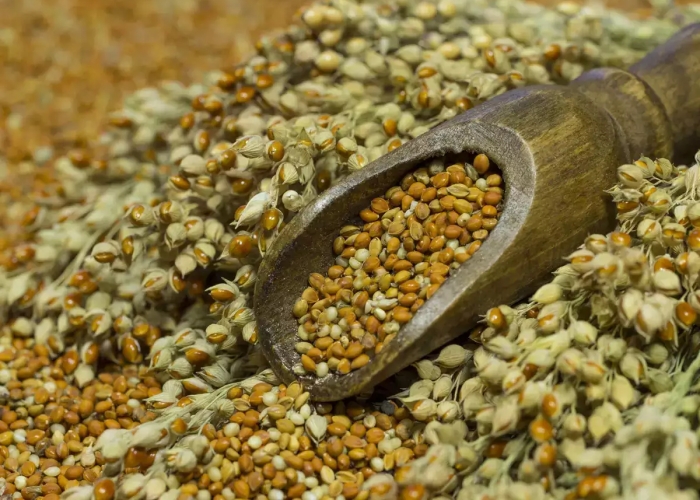 indian-army-to-reintroduce-millets-in-ration