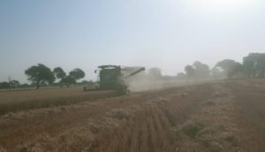 rain on farmers crops