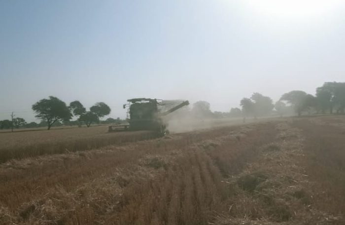 rain on farmers crops