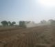 rain on farmers crops