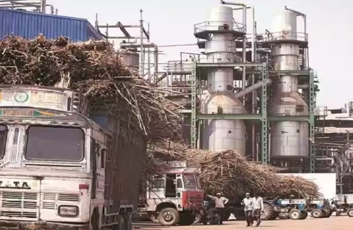 sugar industry india