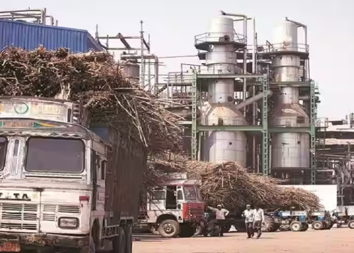 sugar industry india