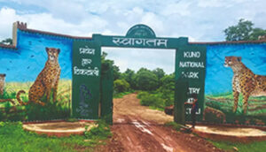 Kuno national park