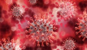 coronavirus update