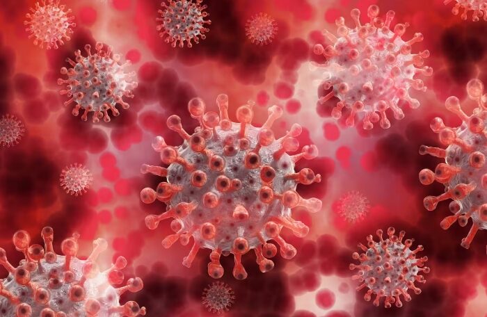 coronavirus update