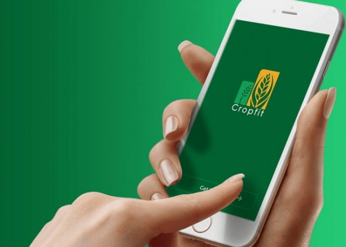 cropfit app