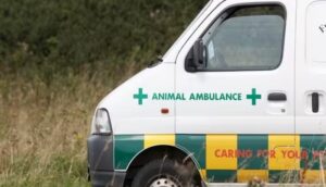 mp animal ambulance