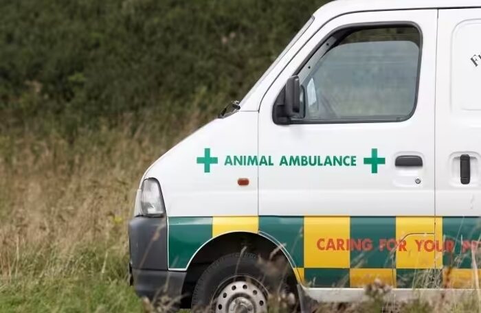 mp animal ambulance