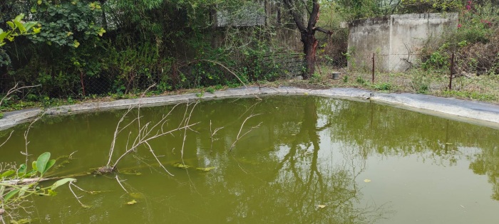 pond in farm house