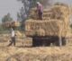 thermocol-and-cutlary-from-stubble