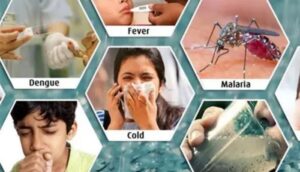 rainy season diseases