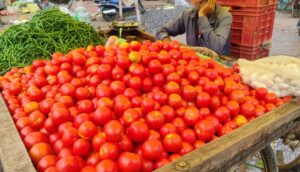 tomato vendor