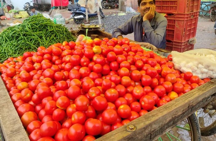 tomato vendor